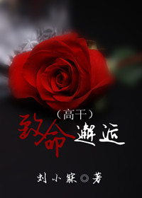 刘小寐新作小说深度解析与探讨,探索未知的文学之旅