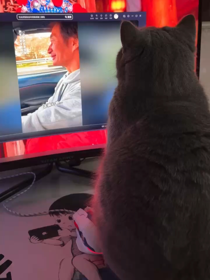 胖猫影院升级，视听盛宴的蜕变之旅