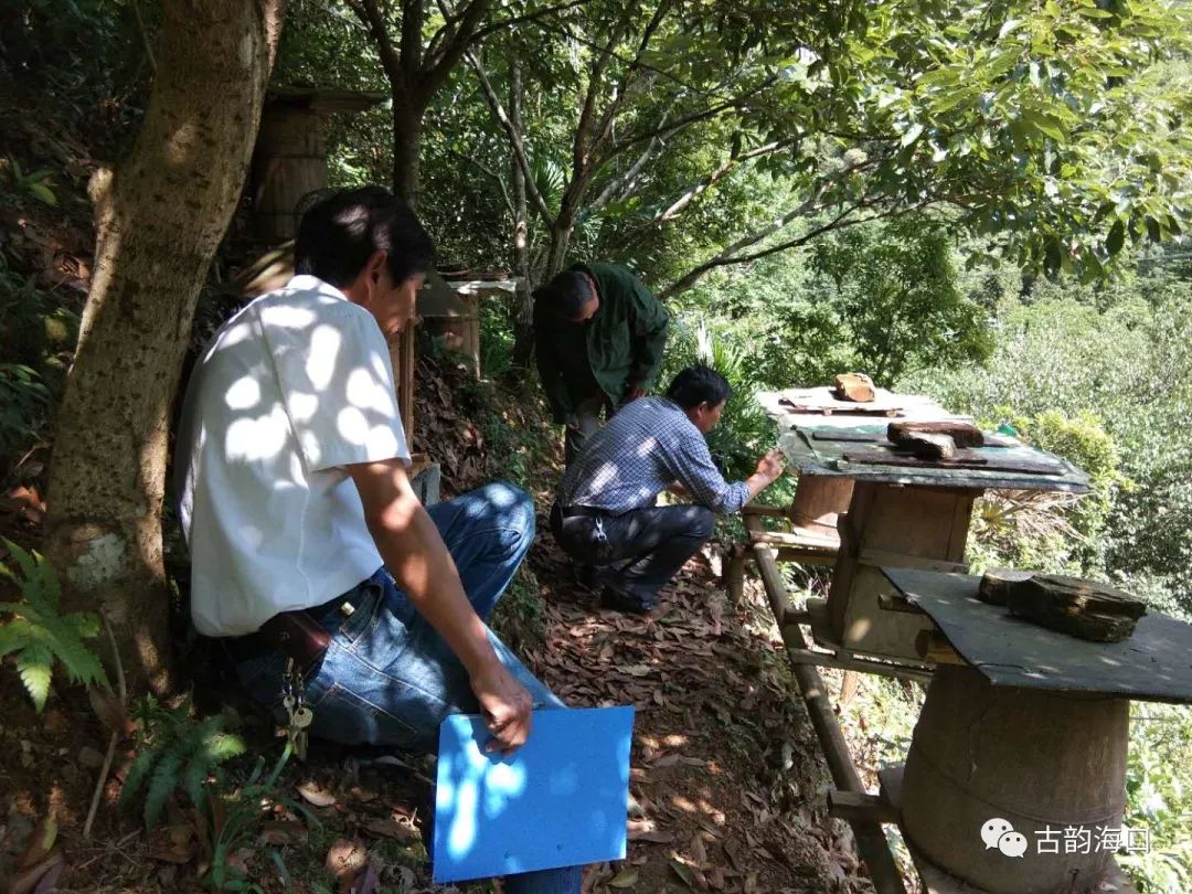 余信贵最新征地动态,余信贵最新征地动态,多方视角的解读与探讨