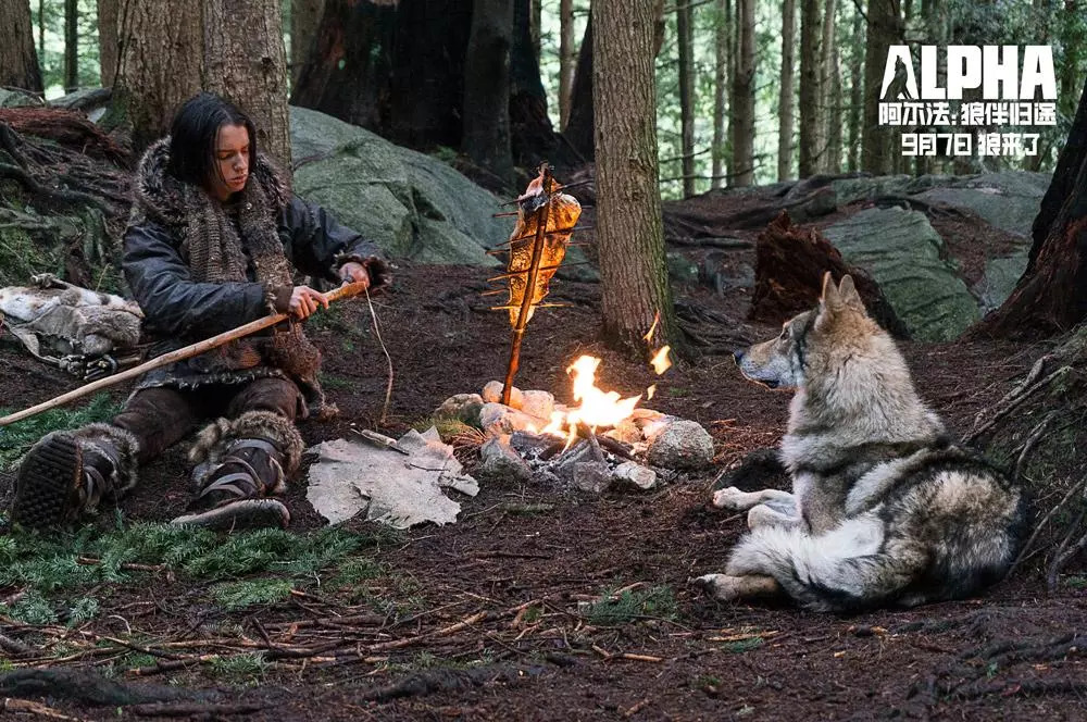 狼电影，自然探索之旅，心灵平静与幽默的唤醒之路