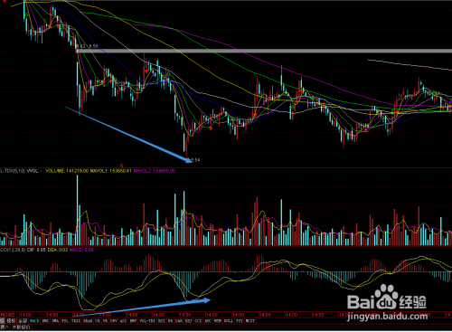 市政设施管理 第11页