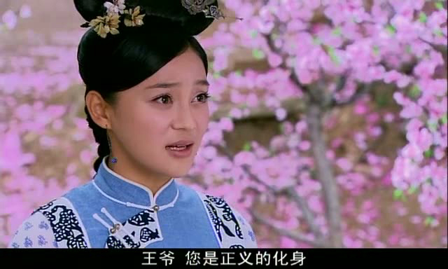 宫锁珠帘演员阵容深度解析，角色与演员魅力展示