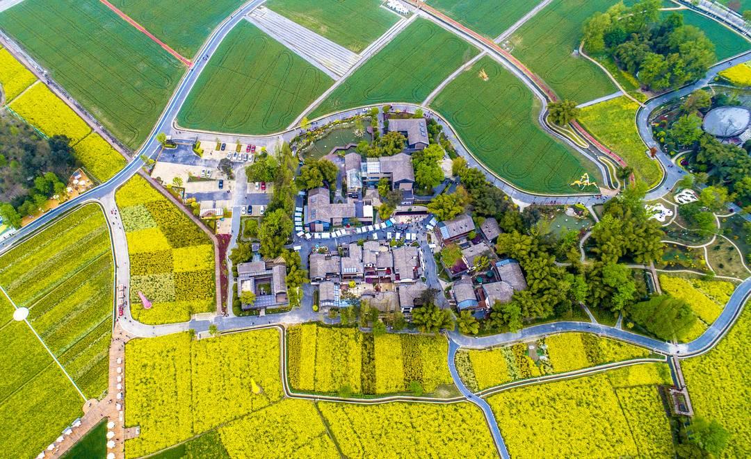 最新作品发布，家的温馨故事，传递爱与陪伴的力量